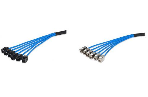Category 6A 10G UTP Pre-Terminated Trunk Cable Assemblies 