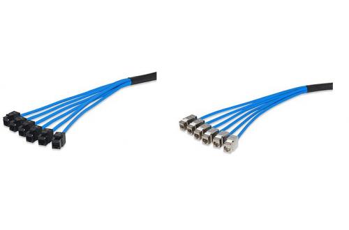 Category 6 UTP Pre-Terminated Trunk Cable Assemblies 